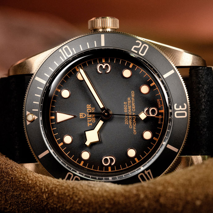Tudor Bronze 2019