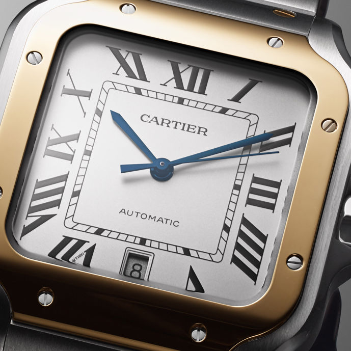 Brand Partners Cartier