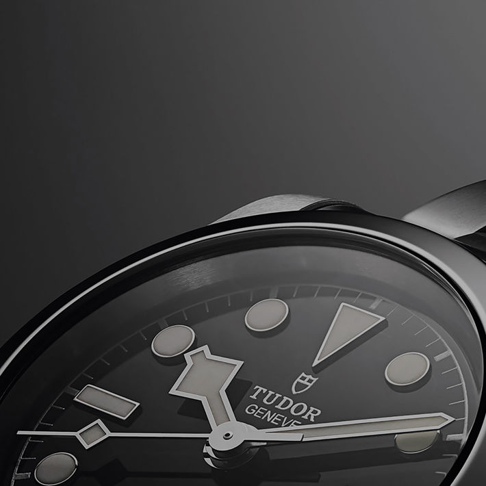 Share Price Homepage Tudor (1)