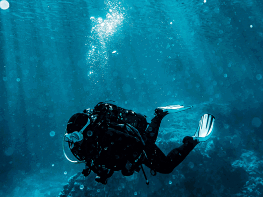 Guide To Diving Watches