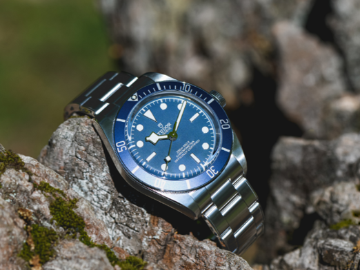 Tudor Black Bay 58 Cat Page