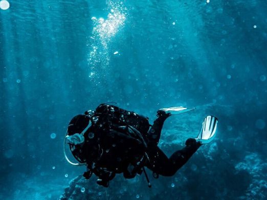 Diver Watches